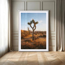 Joshua Tree Wall Art Canvas Print – Framed Golden Hour