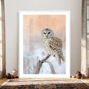 Barred Owl Wall Art Canvas Print – Soft Neutral Wildlife by MyGreatCanvas | Canvas Wall Art Prints | Photo Prints & Wall Decor