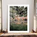 Flamingo Wall Art Canvas Print, Tropical Wildlife Scene by MyGreatCanvas | Canvas Wall Art Prints | Photo Prints & Wall Decor