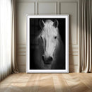 Large Wall Art White Horse Canvas Print
