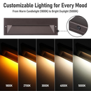 STLA10 6-Pack 6W Low Voltage 10.6" LED Outdoor Step Lights, 12V-24V 5CCT 1800K/2700K/3000K/4000K/.Integrated LED Aluminum Deck Lights Landscape Lights