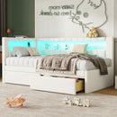 Upholstered Platform Bed With USB Ports And LED Belt by HouseOfZazla