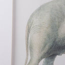 23.6x31.5" Fake Elephant Pencil Drawings, Set of 2