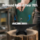 100 Lbs Single Horn Anvil, 4 Holes - Black by HouseOfZazla