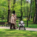 GBruno 4 Wheels Pet Stroller