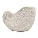 11.5x6.7x7.7" Sand and Cement Nautilus Shell Planter with Textured Beige Finish by HouseOfZazla