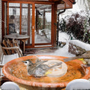 70W Outdoor Bird Bath Heater Winter Deicer with Thermostat, Auto Shutoff & Waterproof Design by GBruno Store