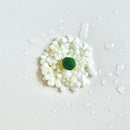 Live Moss Balls Mini Aquarium Jar