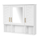 Modern Wall Mounted Medicine Cabinet with Adjustable Shelves and Soft Close Doors by HouseOfZazla