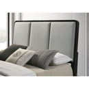 Anser - Panel Bed
