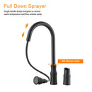 16.9" Kitchen Sink Faucet With Separate Handle And Pull Down Sprayer, Lead Free Brass - Matte Black