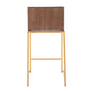 Mason Mara - Contemporary Design Fixed Height Counter Stool (Set of 2)