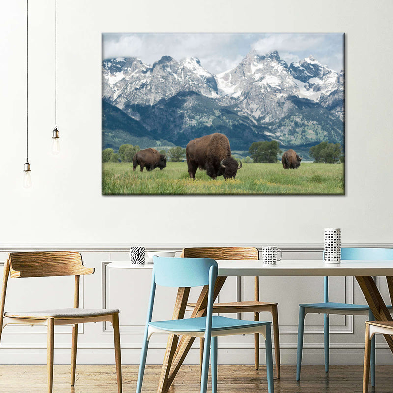 Grazing Teton Bison Wall Art