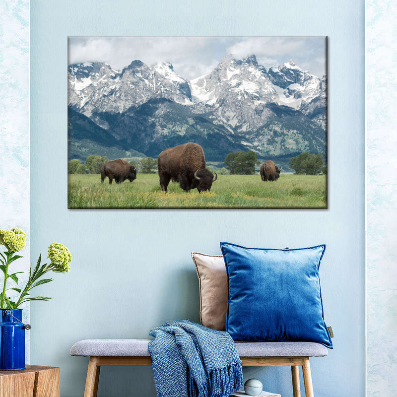 Grazing Teton Bison Wall Art