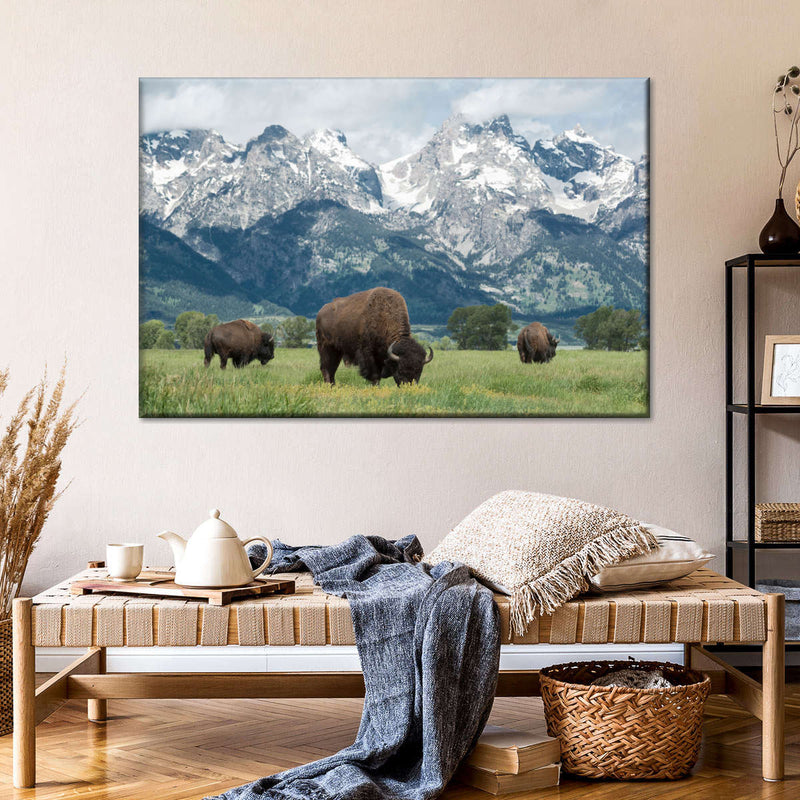 Grazing Teton Bison Wall Art