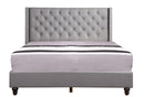 Nailhead Bed Transitional Vibrant by HouseOfZazla