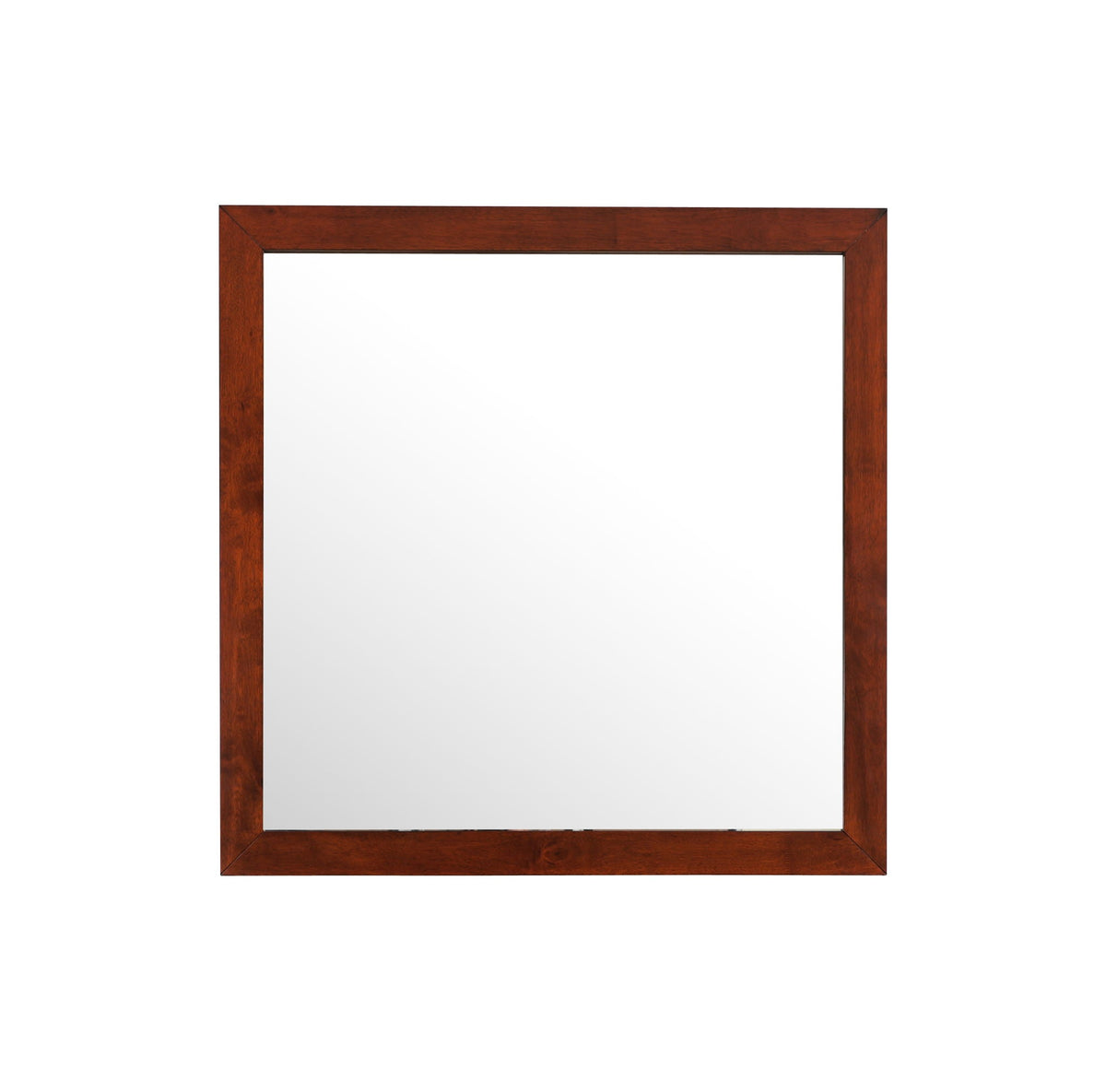 Burlington - Modern Design Transitional Wall Mirror, photo 13 of 17