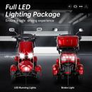 Electric Mobility Scooter with Big Size and High Power