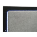 Sophia - Panel Bed With LED Headboard by HouseOfZazla
