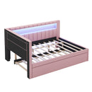 Upholstered Platform Bed With USB Ports And LED Belt by HouseOfZazla