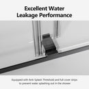 Frameless Double Sliding Soft-Close Shower Door, 3 / 8" (10Mm) Thick SGCC Tempered Glass Door, Matte by HouseOfZazla