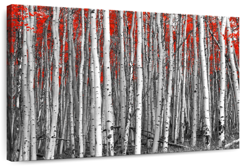 Red Birch Forest Wall Art