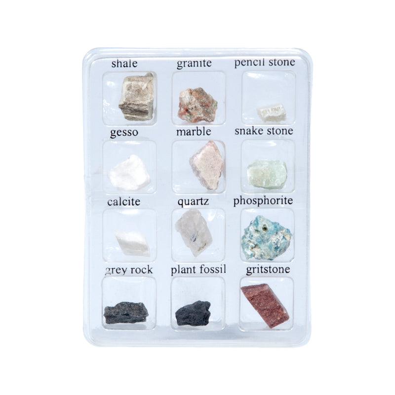 20x Stereo Microscope