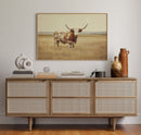Prairie King: Longhorn on the Plains