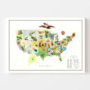 Vintage United States Flower Map, 1911