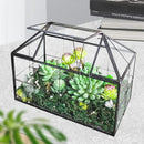 Ferrisland Glass Terrarium Greenhouse House Shape Display Box Planter for Succulents Plant Terrarium Container Mordern Tabletop Decor Gardern DIY Kit by GreenHaven Gardens