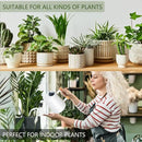 Watering Can Indoor Plants, 35oz Small Watering Can Indoor Stainless Steel Metal Watering Can Modern Decorative Watering Pot with Long Spout for Indoor House Plant Bonsai Outdoor Garden Flowers -White by GreenHaven Gardens