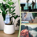 4 Pack Self Watering Spikes, Indoor Plant Watering Globes, Bird Shape Automatic Irrigation Spikes,Plant Watering Devices (Green&Blue) by GreenHaven Gardens