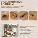 Fun Memories 48" Floating Shelves for Wall, Live Edge Solid Elm Wood Floating Shelf with Invisible Bracket, Wall Mounted Display Wooden Shelves for Bathroom, Kitchen, Bedroom, Natural Color, Set of 1 by CozyNest Decor