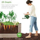 Best Choice Products 4x2x2ft Outdoor Metal Raised Garden Bed, Oval Deep Root Planter Box for Vegetables, Flowers, Herbs, and Succulents w/ 101 Gallon Capacity, Rubber Edge Guard - Taupe by GreenHaven Gardens
