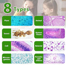 30 Microscope Slides with Specimens,Prepared Microscope Slides for Kids,Glass Slides for Microscope,Prepared Slides for Kids Microscope,Microscope Slide Preparation Kit for Biology Science Classes by TinyTreasures Baby Boutique
