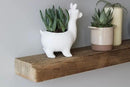 Urban Legacy Reclaimed Barnwood Planks | Floating Shelves for Wall w/Flush Mount Shelf Bracket Set Included | Set of 2 (Natural, 40"x 4.5"x 2") by CozyNest Decor