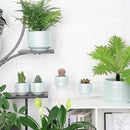 Mini Succulent Planter Set – 3.7 Inch Ceramic Pots with Drainage for Indoor Plants, Small Decorative Flower Pots for Cactus and House Plants, Set of 4 by CozyNest Decor