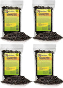 Banana Tree Potting Mix - High-Performance Formula for Vibrant Growth and Abundant Fruit Production - Unlock The True Potential of Your Banana Trees (20 Quart) by GreenHaven Gardens