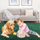 Ultra Soft Fluffy 6x9 Green Area Rugs - Plush Non-Slip Indoor Carpet for Living Room, Bedroom, Nursery, Study, Kids Room Decor by TinyTreasures Baby Boutique