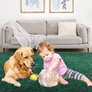 Ultra Soft Area Rug, Fluffy 8x10 Green Rugs for Living Room, Plush Area Rugs for Bedroom, Non-Slip Indoor Carpet for Nursery, Study Room, Kids Room, Room Decor by TinyTreasures Baby Boutique