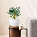 12/10/9 inch Large Self Watering Pots, Plant Pots with Mesh Drainage Holes for Indoor Outdoor Garden Plants, Flower Pots with Deep Reservoir, 3 Pack Plastic Planters, White with Brown by GreenHaven Gardens
