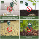 Plant Moisture Meter, Plant Water Meter, Soil Moisture Meter for House Plants for Garden, Lawn, Farm, Indoor & Outdoor Use, No Batteries Required (2 Packs Green) by GreenHaven Gardens