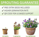 Wildflower Seed Mix Growing Kit - Includes Perennial & Annual Wild Flowers, Burlap Planters, Soil, Wooden Box, and Gardening Tools for Indoor Garden and Patio Planting by GreenHaven Gardens