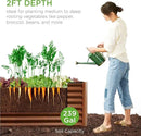 Best Choice Products 8x2x2ft Outdoor Metal Raised Garden Bed, Rectangular Deep Root Planter Box for Vegetables, Flowers, Herbs, and Succulents w/ 239 Gallon Capacity - Wood Grain by GreenHaven Gardens