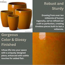 Emissary Home and Garden Bullet 12in., 14in., 15.5in., 21in. H Bright Orange Ceramic Round Planters with Drainage Hole (Set of 4) by CozyNest Decor
