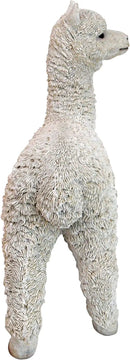 Design Toscano The Alpacalypse of Alpaca Garden Statues: Baby by GreenHaven Gardens