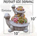 Large Turtle Solar Garden Outdoor Statues with Succulent and 6 LED Lights,Outside Solar Turtle Decor Art for Garden,Home,Lawn,Yard, Balcony Ornament by CozyNest Decor
