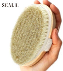 Dry Brushing Body Brush SCALA Natural Bristle Body Brush, Soft Body Exfoliating Brush Scrub for Dead Skin, Cellulite, Lymphatic Drainage, Blood Flow – Thicker & Stronger Medium Strength by CozyNest Decor