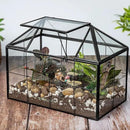 Ferrisland Glass Terrarium Greenhouse House Shape Display Box Planter for Succulents Plant Terrarium Container Mordern Tabletop Decor Gardern DIY Kit by GreenHaven Gardens