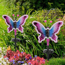 Butterfly Solar Lights, Solar Butterfly Outdoor Light, Garden Decor,Neon Butterfly Garden Lights for Outside, Yard, Pathways,Patio, Lawn, or Landscaping Decor (Amaranth, 2 Pack) by GreenHaven Gardens